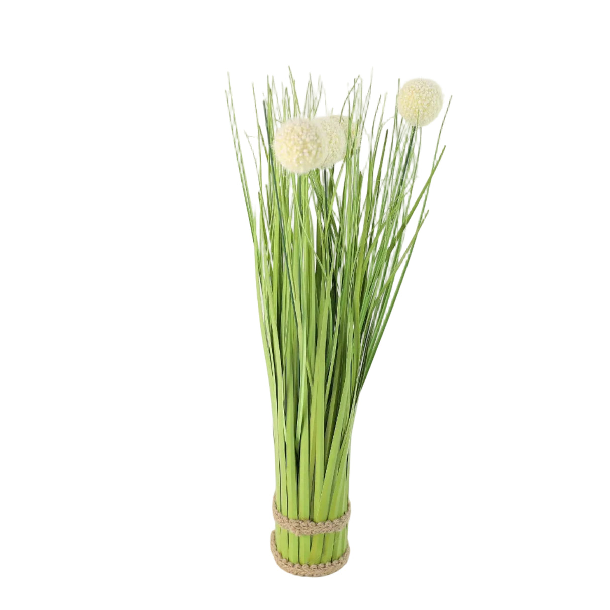 Allium Potted Grass Arrangement Green at Zubaidas Homestore Online Pakistan