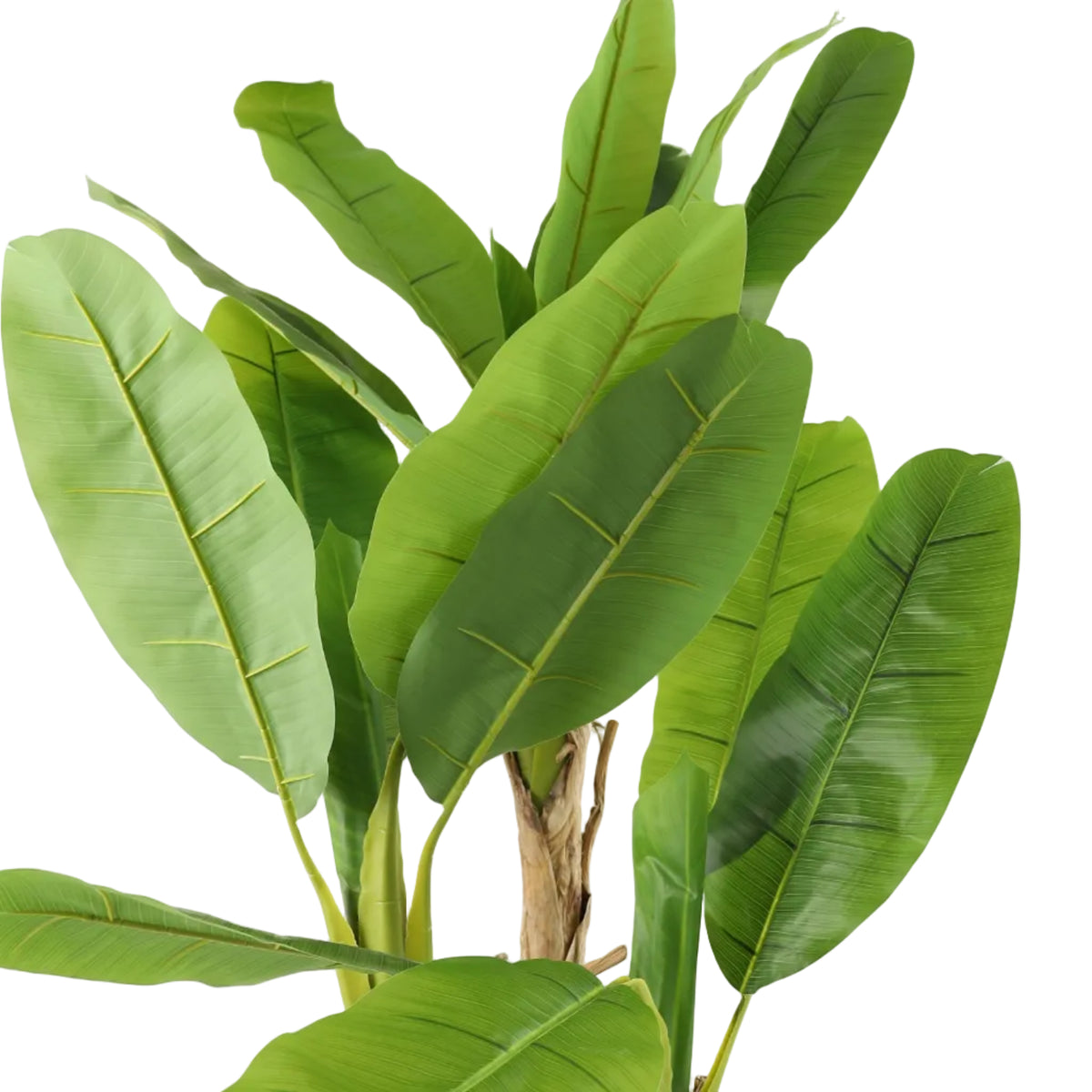Artificial Banana Palm Textured Stem Green at Zubaidas Homestore - The Largest Collection of Decor In Pakistan