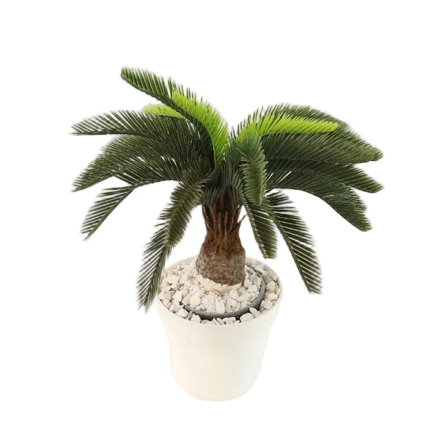 Artificial Comb Palm Plant Green and White at Zubaidas Homestore Online Pakistan