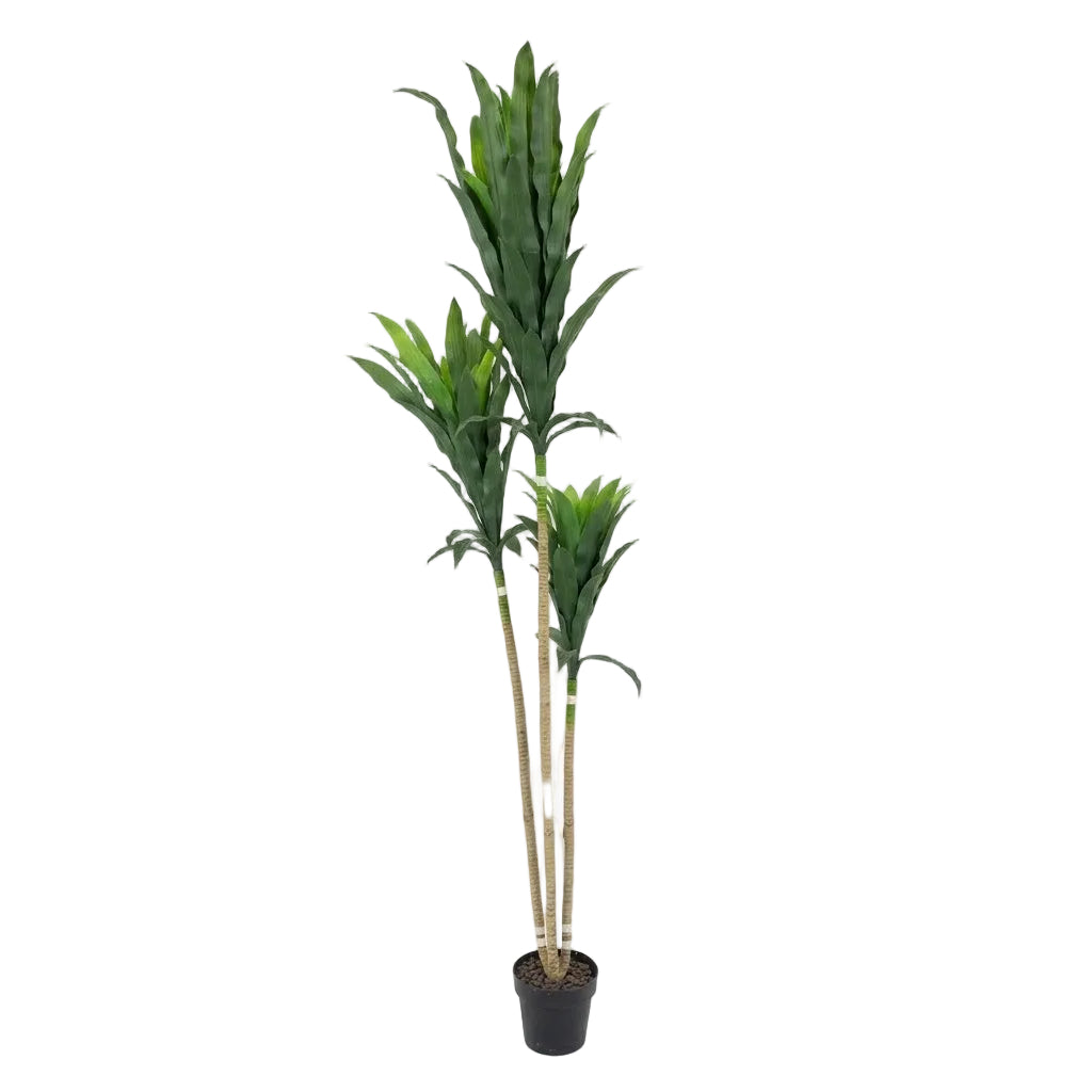 Artificial Yucca Tree Plant in Pot Green at Zubaidas Homestore Pakistan