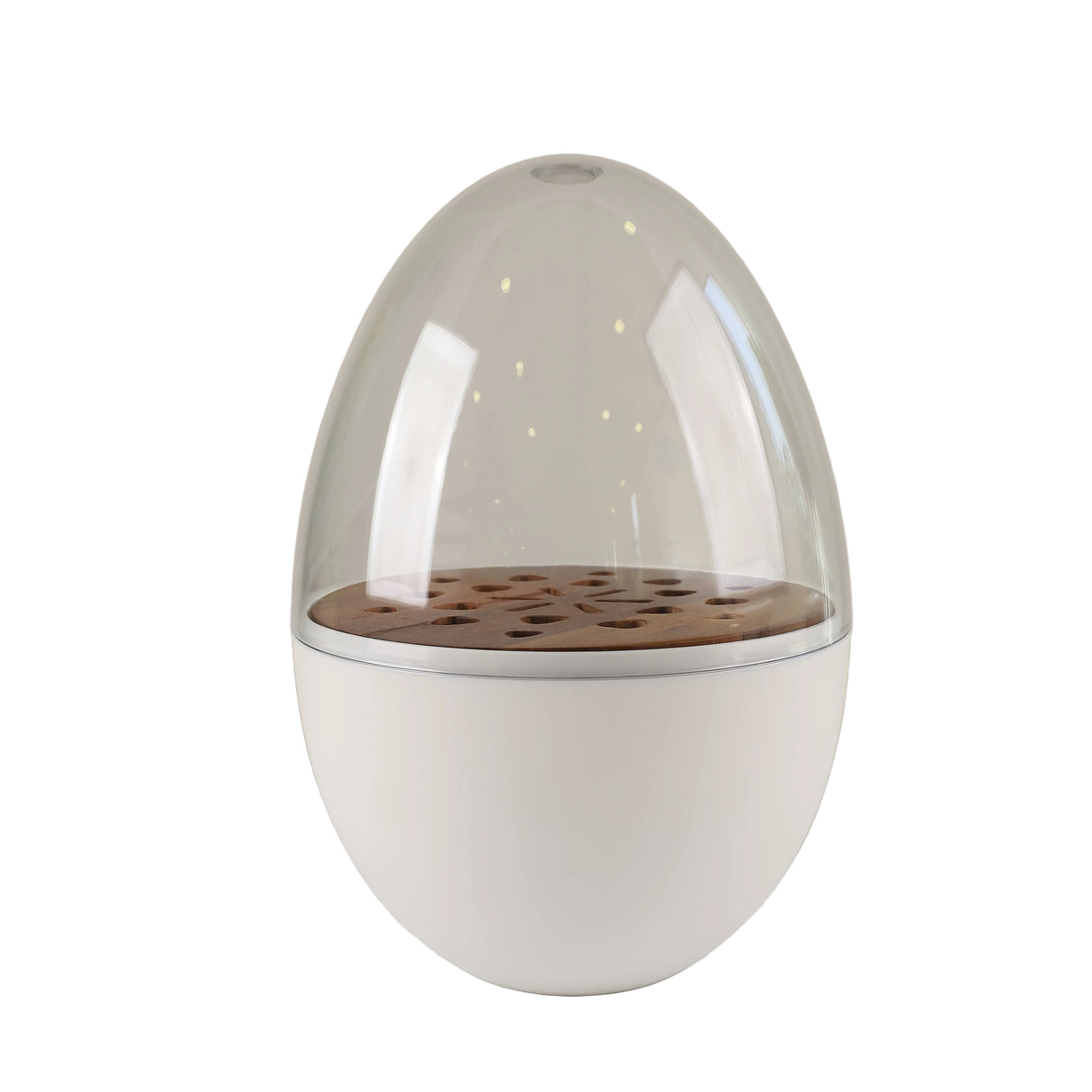 Danny Home White Egg Shaped Acrylic Dome Cutlery Organizer at Zubaidas Homestore