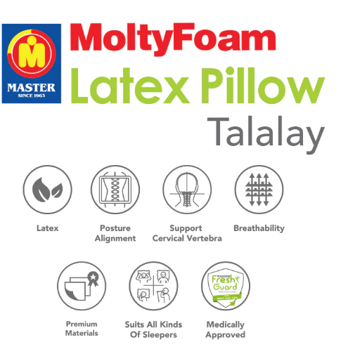 Master Latex Pillow at Zubaidas Homestore Pakistan