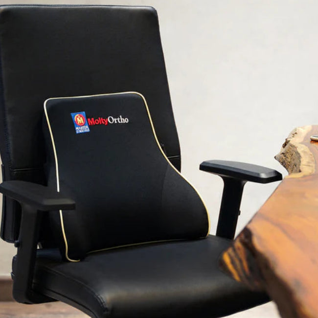 Master Lumbar Support Cushion at Zubaidas Homestore Pakistan