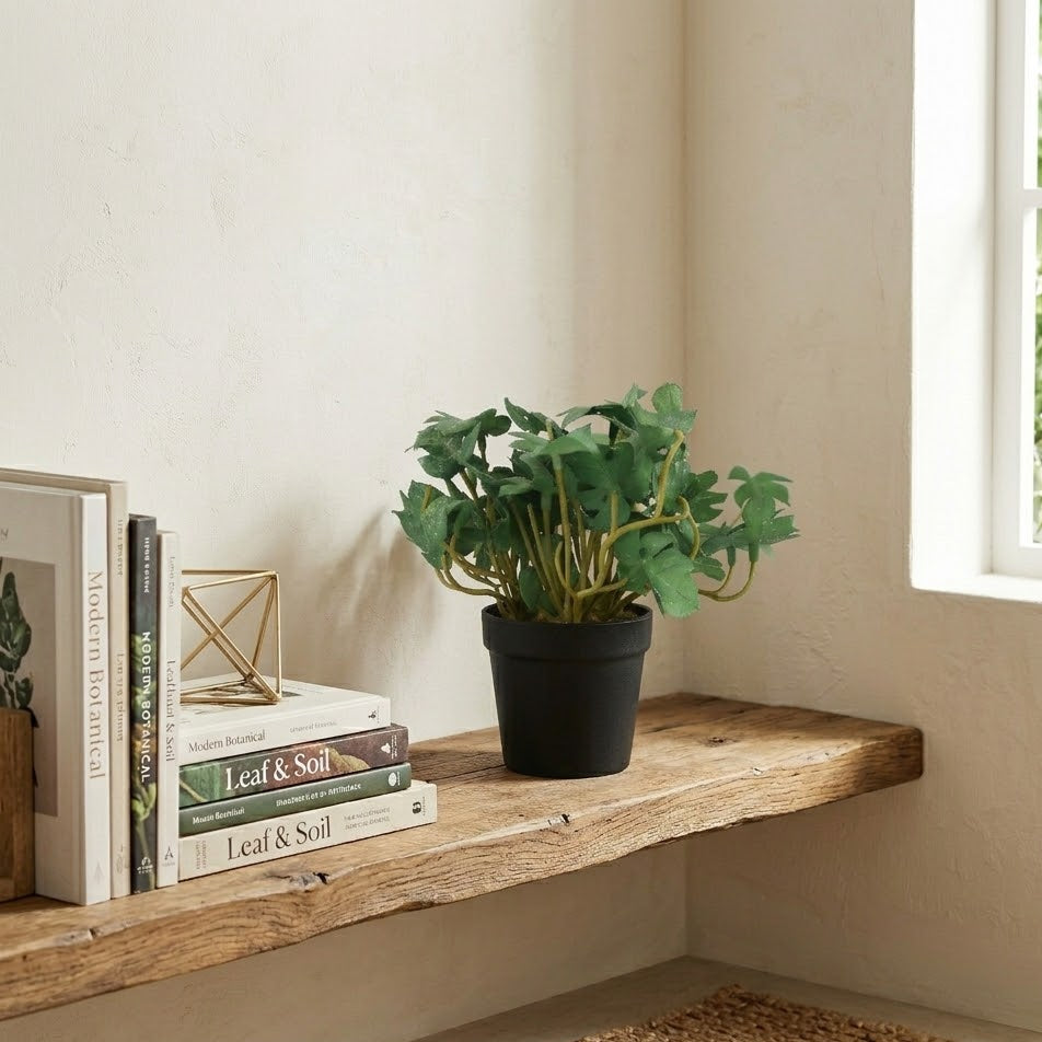 Mini Monstera Table Potted Plant at Zubaidas Homestore Best for Home Shopping