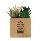 Artificial Succulent Plant Wooden Pot Green Zubaidas Homestore Pakistan