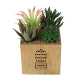 Artificial Succulent Plant Wooden Pot Green Zubaidas Homestore Online Pakistan