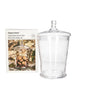 Danny Home Glass Cookie Jar 18cm at Zubaidas Homestore