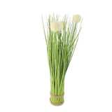 Allium Potted Grass Arrangement Green at Zubaidas Homestore Online Pakistan