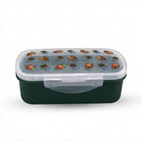 Appollo Bento Lunch Box M-2 600ml  at Zubaidas no 1 Homestore in Pakistan