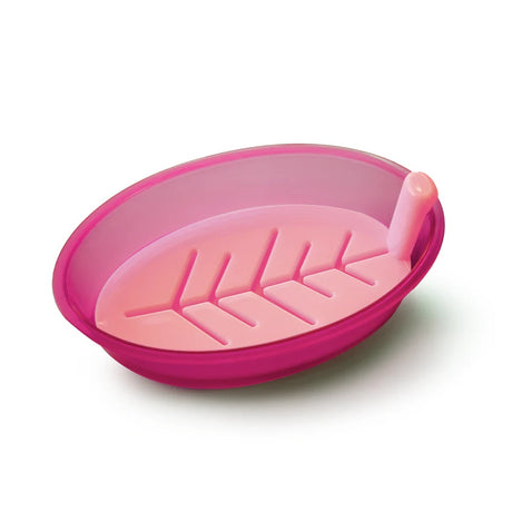 Appollo Dove Soap Dish at Zubaidas Homestore Best for home Shopping Pakistan