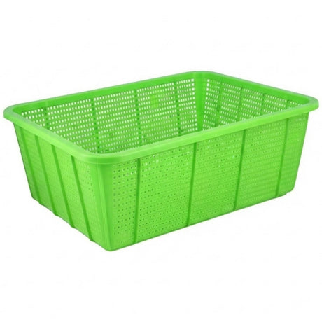 Appollo Rainbow Basket Small at 