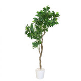 Artificial Camellia Tree in White Pot at Zubaidas Homestore Pakistan
