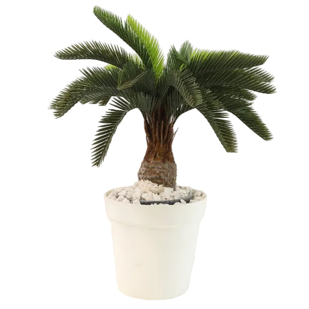 Artificial Comb Palm Plant Green and White at Zubaidas Homestore Pakistan