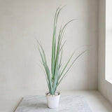 Artificial Grass Plant in White Pot at Zubaidas Homestore 