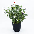 Artificial Mini Olive Tree Accent Green at Zubaidas Homestore Pakistan