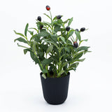 Artificial Mini Olive Tree Accent Green at Zubaidas Homestore Pakistan