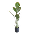 Artificial Palm Tree in Black Pot at Zubaidas Homestore Pakistan