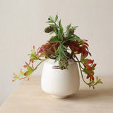 Artificial Succulent Table Plant with White Pot at Zubaidas Homestore