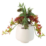 Artificial Succulent Table Plant with White Pot at Zubaidas Homestore - The Largest Collection of Artificial Plants In Pakistan