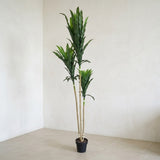Artificial Yucca Tree Plant in Pot Green at Zubaidas Homestore