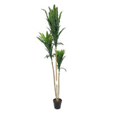 Artificial Yucca Tree Plant in Pot Green at Zubaidas Homestore Pakistan