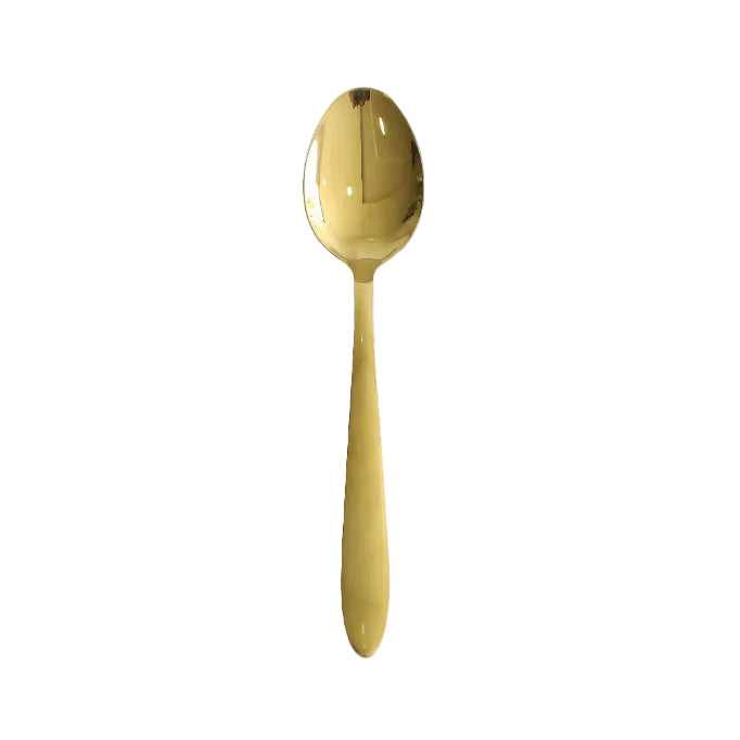 AYD Gold Shine 18/10 Stainless Steel Curry Serving Spoon at Zubaidas Homestore Pakistan
