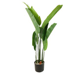 Banana Palm Plant 9-Leaves Decorative at Zubaidas Homestore Pakistan