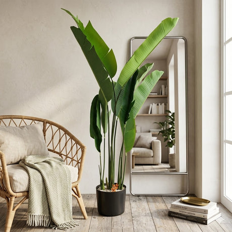 Banana Palm Plant 9-Leaves Decorative at Zubaidas Homestore Best for Home Shopping