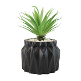 Bushy Planter Decorative Sable Pot Matt Black Zubaidas Homestore Pakistan