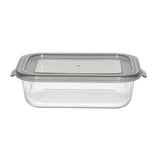 Danny Home Borosilicate Food Storage Container 630ml at Zubaidas Homestore Pakistan
