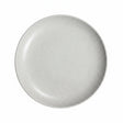 Danny Home Speckled Ceramic Dinner Plate 26cm  at Zubaidas Homestore Pakistan
