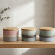 Danny Home Storage Jar with Wooden Lid 3Pcs Set at Zubaidas Homestore