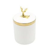 Decorative Ceramic Candy Jar 3 Pieces Set with Gold Accent at Zubaidas Homestore - The Largest Collection Of Decor In Pakistan