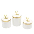 Decorative Ceramic Candy Jar 3 Pieces Set with Gold Accent at Zubaidas Homestore - House of The Biggest Collection of Decor in Pakistan