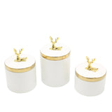 Decorative Ceramic Candy Jar 3 Pieces Set with Gold Accent at Zubaidas Homestore - House of The Biggest Collection of Decor in Pakistan