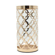 Decorative Glass Vase with Golden Metal Lattice Frame at Zubaidas Homestore - The Biggest Collection of Decor In Pakistan