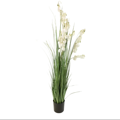 Ivory Lantern Grass with White Blossoms at Zubaidas Homestore Pakistan