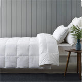 Master Molty Summer Quilt at Zubaidas Online Homestore in Pakistan