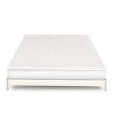Master MoltyOrtho Topper Small at Zubaidas Homestore