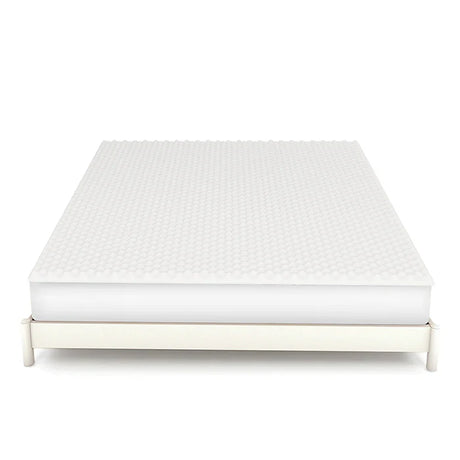 Master MoltyOrtho Topper Small at Zubaidas Homestore