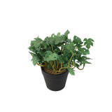Mini Monstera Table Potted Plant at Zubaidas Homestore Online Pakistan