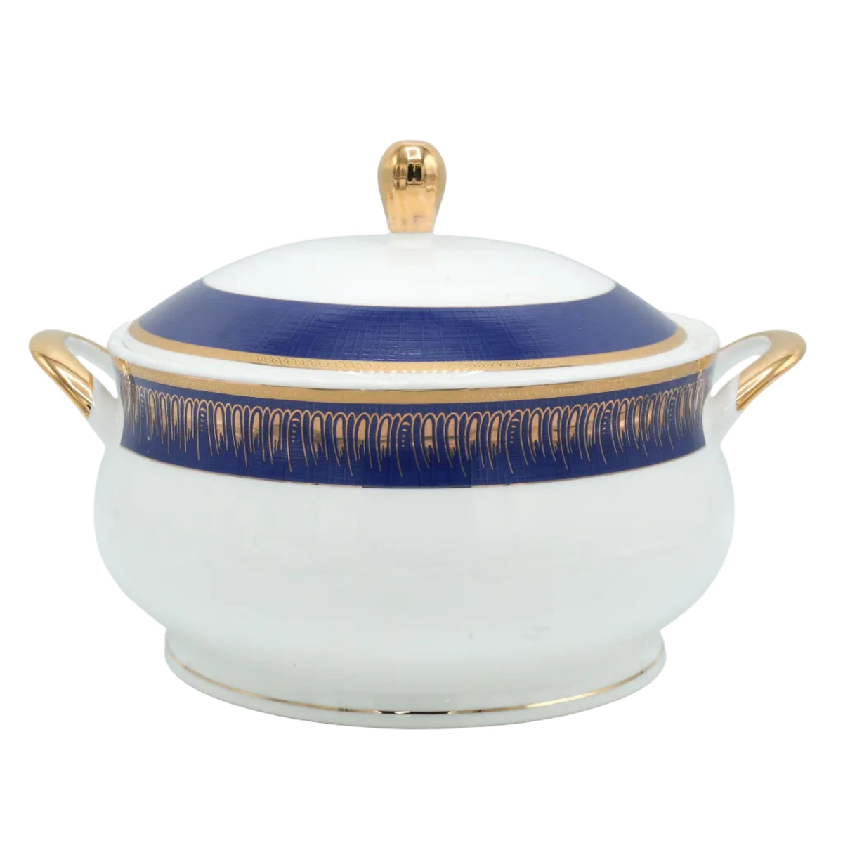 More & More Bone China Dinner Set 71 Pieces Blue and Gold Accent at Zubaidas Homestore Pakistan