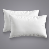 Plushmink 2 Pieces White Cotton Pillow at Zubaidas Homestore