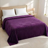 Plushmink Mansion AC Flannel Double Blanket Purple at Zubaidas Homestore Pakistan
