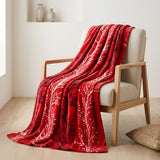 Plushmink Supremo Flannel AC Blanket Wildrose Double with Border at Zubaidas Homestore Online Pakistan
