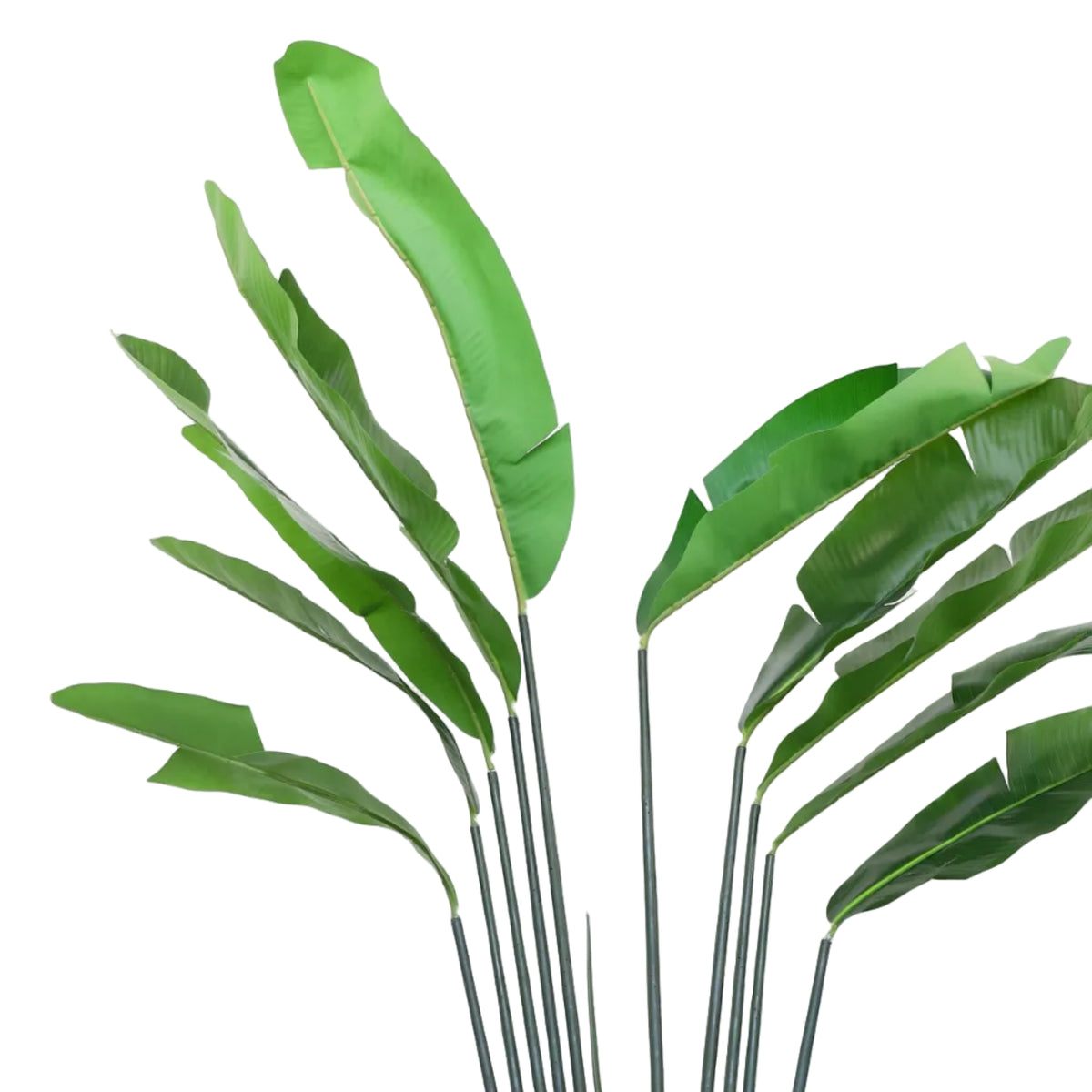 Ravenala Palm Artificial Plant with Black Pot at Zubaidas Homestore Pakistan