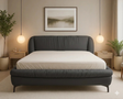 ZHomes Bed Cozy at Zubaidas Homestore Best for Home Shopping